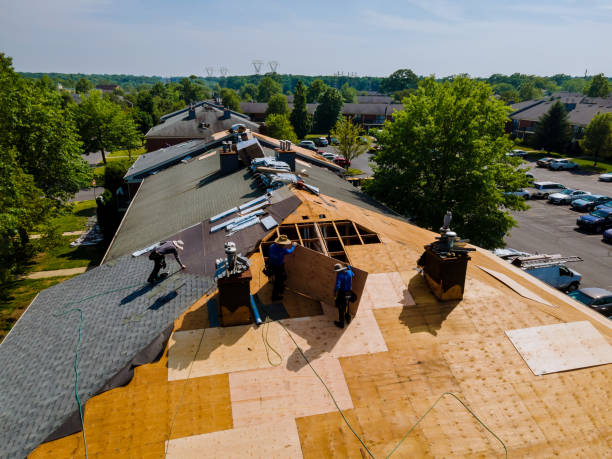 Trusted Roof Installation service in Calhoun, LA - Brentwood Metal Roofing